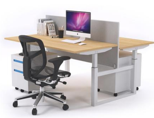 High Adjustable Back to Back Work Station