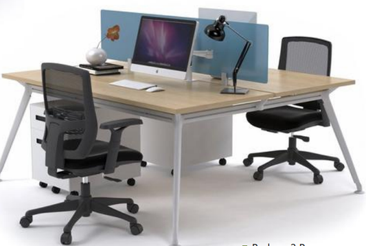 Reduqa 2 Person Workstation